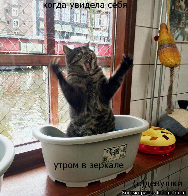 Котоматрица: когда увидела себя утром в зеркале (с)девушки