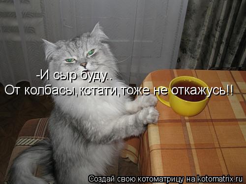 -И сыр буду.. От колбасы,кстати,тоже не откажусь!!... Котоматрица: -И сыр буду.. От колбасы,кстати,тоже не откажусь!!
