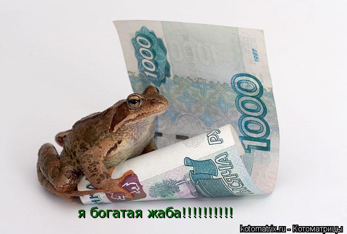 Котоматрица: я богатая жаба!!!!!!!!!!