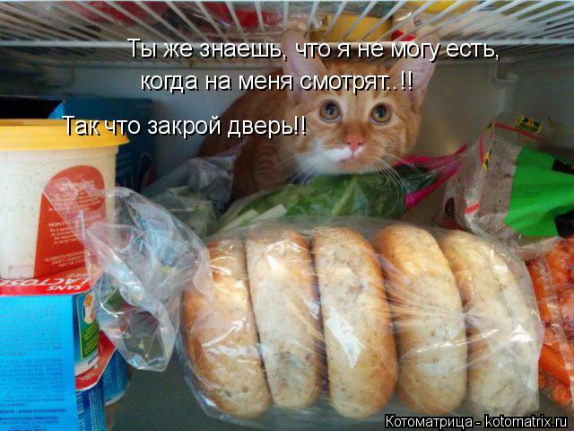Ты же знаешь, что я не могу есть, когда на меня смотрят..!! Так что закрой дверь!!... Котоматрица: Ты же знаешь, что я не могу есть, когда на меня смотрят..!! Так что закрой дверь!!