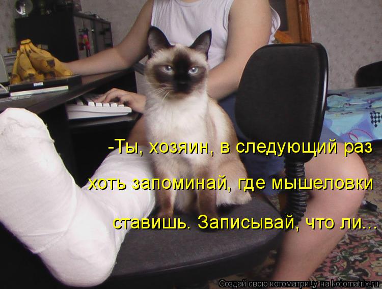 Котоматрица: -Ты, хозяин, в следующий раз хоть запоминай, где мышеловки ставишь. Записывай, что ли...