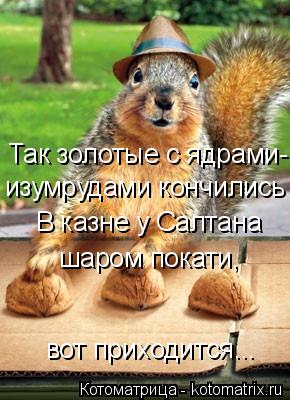 Котоматрица: Так золотые с ядрами- изумрудами кончились В казне у Салтана шаром покати, вот приходится...