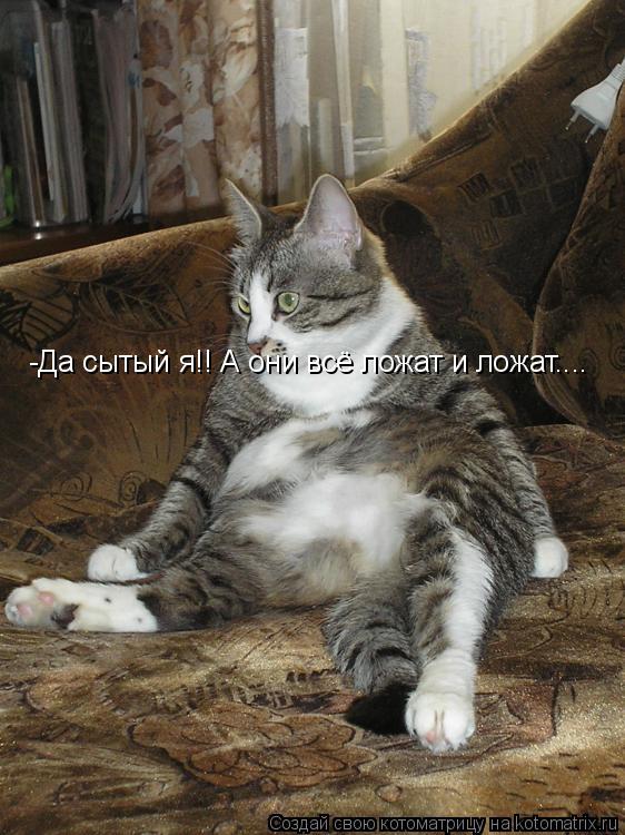 -Да сытый я!! А они всё ложат и ложат....... Котоматрица: -Да сытый я!! А они всё ложат и ложат....