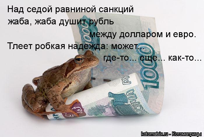 Котоматрица: Над седой равниной санкций  жаба, жаба душит рубль Тлеет робкая надежда: может...  где-то... еще... как-то... между долларом и евро.
