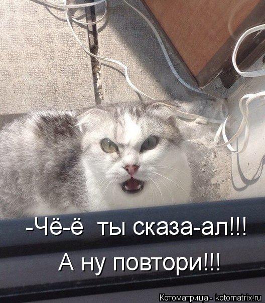 Котоматрица: -Чё-ё  ты сказа-ал!!! А ну повтори!!!