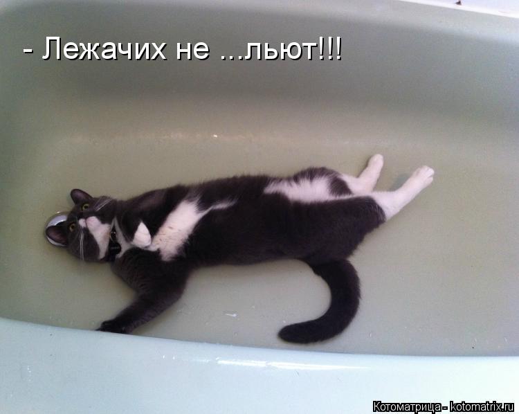 - Лежачих не ...льют!!!... Котоматрица: - Лежачих не ...льют!!!