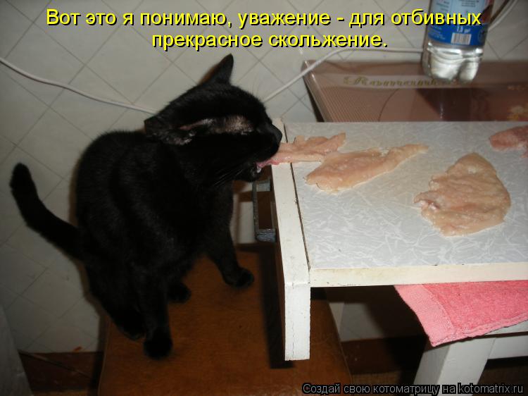 Котоматрица: Вот это я понимаю, уважение - для отбивных  прекрасное скольжение.