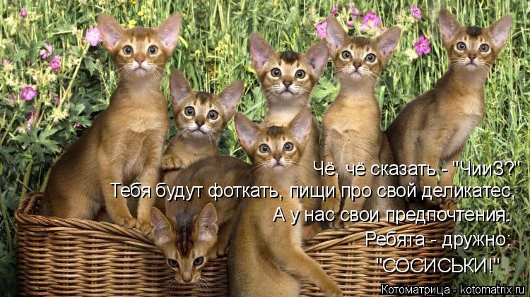 Чё, чё сказать - "ЧииЗ?" Тебя будут фоткать, пищи про свой деликатес, А у нас свои предпочтения. Ребя... Котоматрица: Чё, чё сказать - "ЧииЗ?" Тебя будут фоткать, пищи про свой деликатес, А у нас свои предпочтения. Ребята - дружно: "СОСИСЬКИ!"