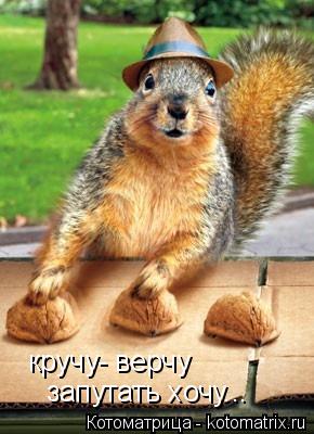кручу- верчу запутать хочу...... Котоматрица: кручу- верчу запутать хочу...
