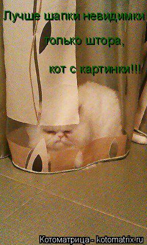 Котоматрица: Лучше шапки невидимки только штора, кот с картинки!!!