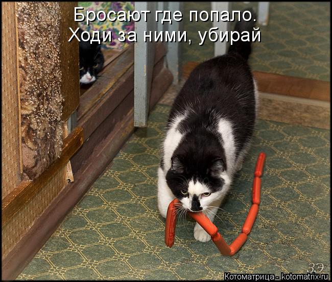 Бросают где попало. Ходи за ними, убирай... Котоматрица: Бросают где попало. Ходи за ними, убирай
