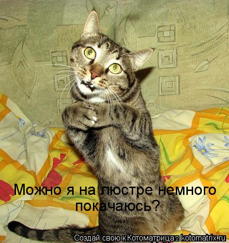 Котоматрица: Можно я на люстре немного покачаюсь?