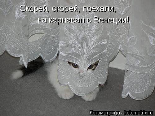 Скорей, скорей, поехали, на карнавал в Венеции!... Котоматрица: Скорей, скорей, поехали, на карнавал в Венеции!