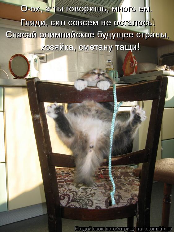 Котоматрица: О-ох, а ты говоришь, много ем.  Гляди, сил совсем не осталось. Спасай олимпийское будущее страны,  хозяйка, сметану тащи!