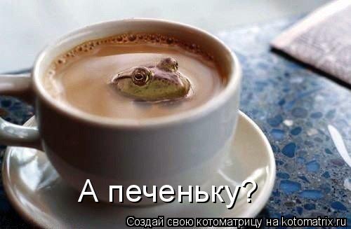 Котоматрица: А печеньку?