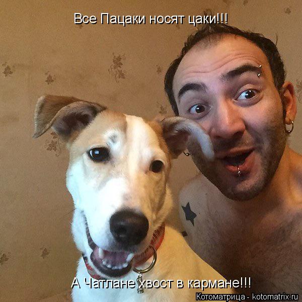 Котоматрица: Все Пацаки носят цаки!!! А Чатлане хвост в кармане!!!