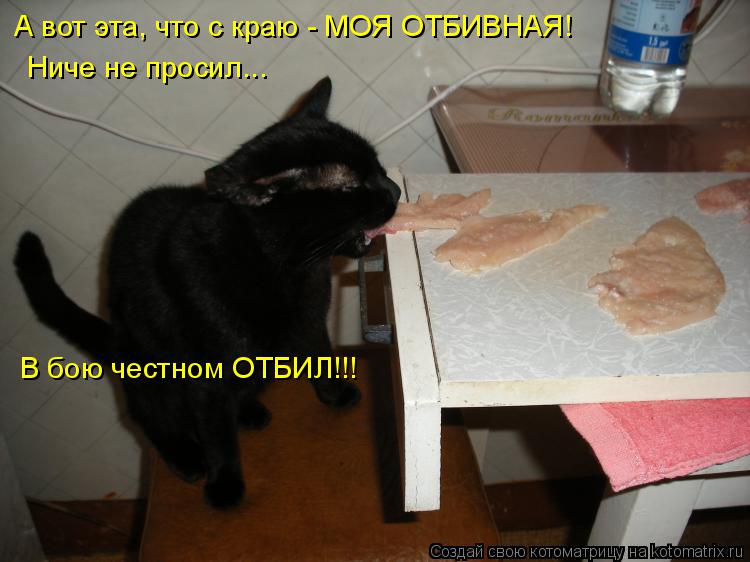 В бою честном ОТБИЛ!!! А вот эта, что с краю - МОЯ ОТБИВНАЯ! Ниче не просил...... Котоматрица: В бою честном ОТБИЛ!!! А вот эта, что с краю - МОЯ ОТБИВНАЯ! Ниче не просил...