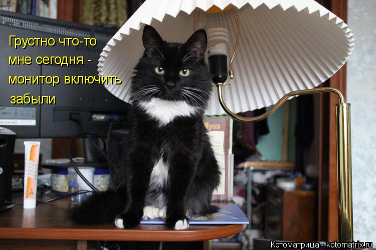Грустно что-то мне сегодня - монитор включить забыли... Котоматрица: Грустно что-то мне сегодня - монитор включить забыли