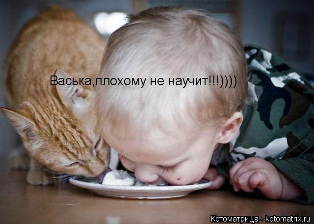Васька,плохому не научит!!!))))... Котоматрица: Васька,плохому не научит!!!))))