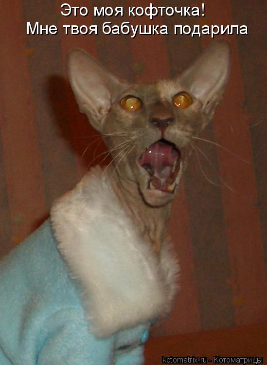 Котоматрица: Это моя кофточка! Мне твоя бабушка подарила