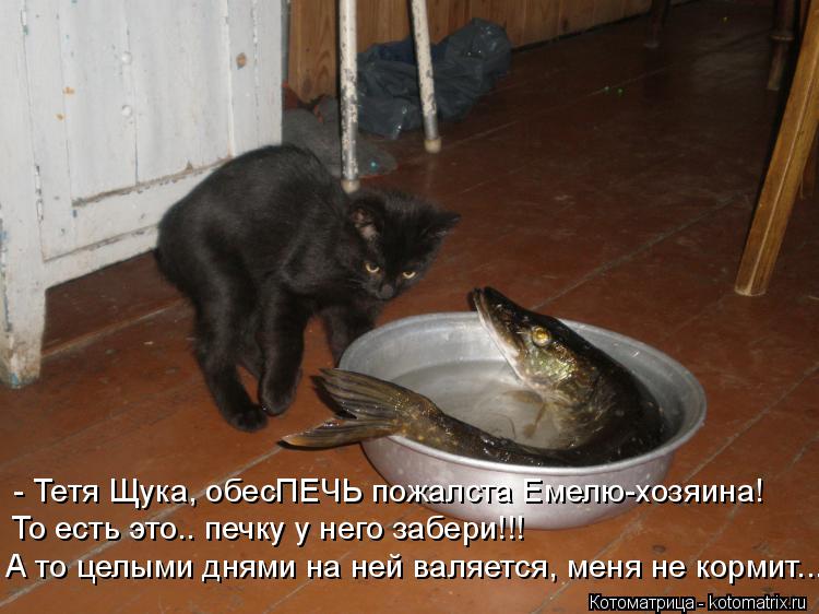 Котоматрица: - Тетя Щука, обесПЕЧЬ пожалста Емелю-хозяина! То есть это.. печку у него забери!!! А то целыми днями на ней валяется, меня не кормит...