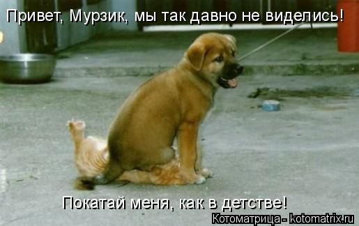 Привет, Мурзик, мы так давно не виделись! Покатай меня, как в детстве!... Котоматрица: Привет, Мурзик, мы так давно не виделись! Покатай меня, как в детстве!