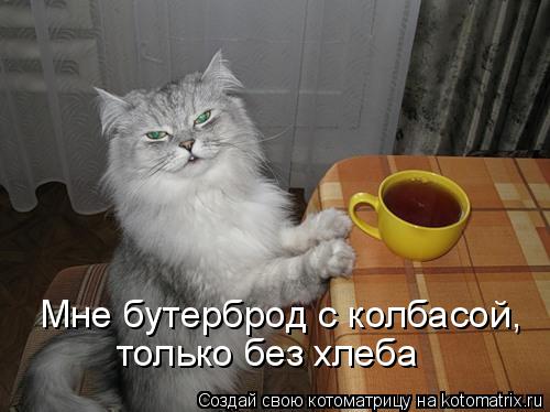 Мне бутерброд с колбасой, только без хлеба... Котоматрица: Мне бутерброд с колбасой, только без хлеба
