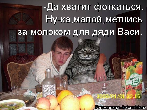 Котоматрица: -Да хватит фоткаться. Ну-ка,малой,метнись за молоком для дяди Васи.