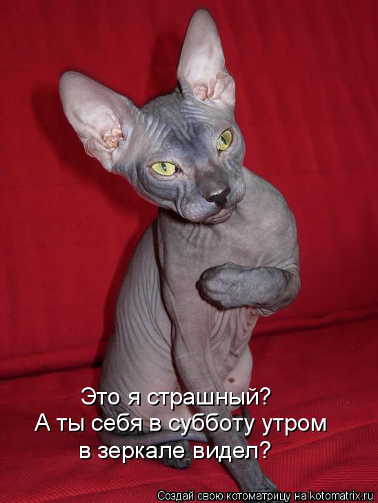 http://kotomatrix.ru/images/lolz/2015/02/09/kotomatritsa_o.jpg