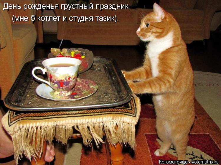 День рожденья грустный праздник, (мне б котлет и студня тазик).... Котоматрица: День рожденья грустный праздник, (мне б котлет и студня тазик).