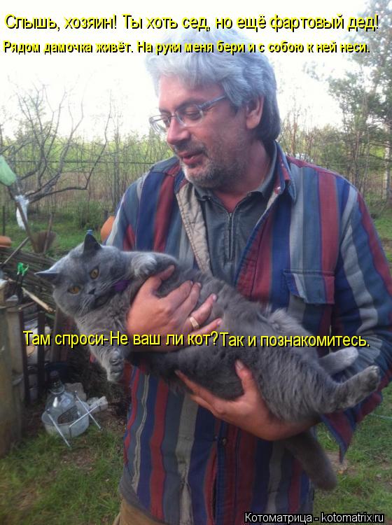 Котоматрица: Слышь, хозяин! Ты хоть сед, но ещё фартовый дед! Рядом дамочка живёт. На руки меня бери и с собою к ней неси. Там спроси-Не ваш ли кот? Так и позн