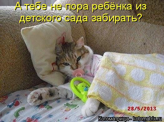 А тебе не пора ребёнка из детского сада забирать?... Котоматрица: А тебе не пора ребёнка из детского сада забирать?