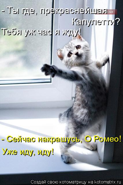 - Ты где, прекраснейшая Капулетти? Тебя уж час я жду! - Сейчас накрашусь, О Ромео! Уже иду, иду!... Котоматрица: - Ты где, прекраснейшая Капулетти? Тебя уж час я жду! - Сейчас накрашусь, О Ромео! Уже иду, иду!