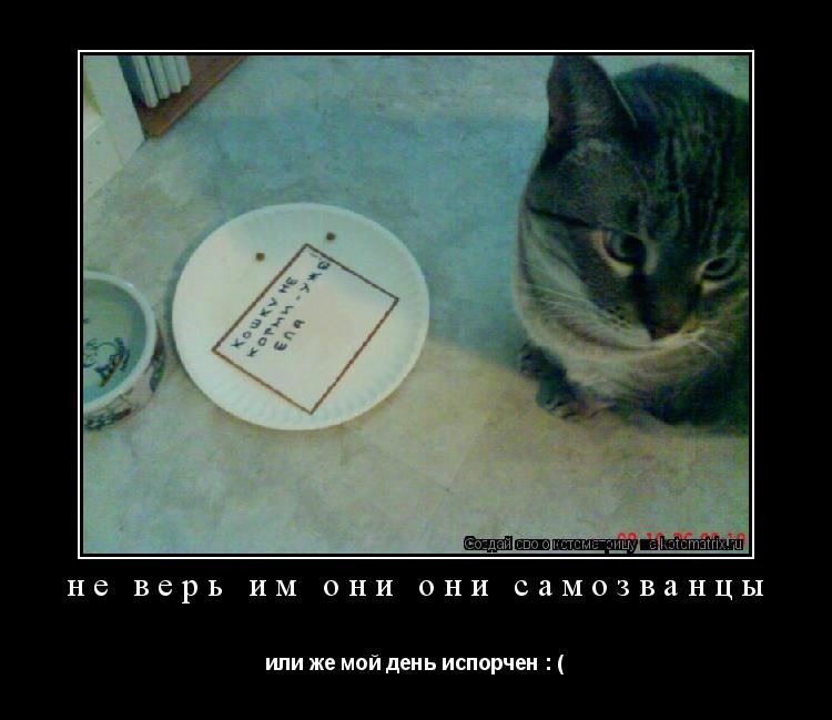 не верь им они они самозванцы или же мой день испорчен : (... Котоматрица: не верь им они они самозванцы или же мой день испорчен : (