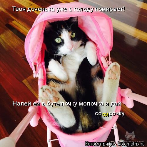 Твоя доченька уже с голоду помирает! Налей ей в бутылочку молочка и дай со . сочку си... Котоматрица: Твоя доченька уже с голоду помирает! Налей ей в бутылочку молочка и дай со . сочку си