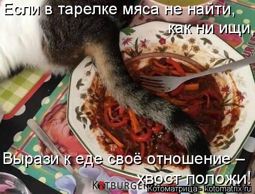 Если в тарелке мяса не найти, как ни ищи, Вырази к еде своё отношение – хвост положи!... Котоматрица: Если в тарелке мяса не найти, как ни ищи, Вырази к еде своё отношение – хвост положи!