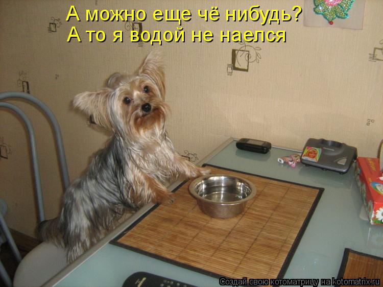А можно еще чё нибудь? А то я водой не наелся... Котоматрица: А можно еще чё нибудь? А то я водой не наелся
