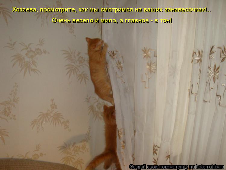 Хозяева, посмотрите, как мы смотримся на ваших занавесочках!.. Очень весело и мило, а главное - в тон... Котоматрица: Хозяева, посмотрите, как мы смотримся на ваших занавесочках!.. Очень весело и мило, а главное - в тон!