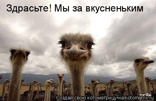 Здрасьте! Мы за вкусненьким... Котоматрица: Здрасьте! Мы за вкусненьким