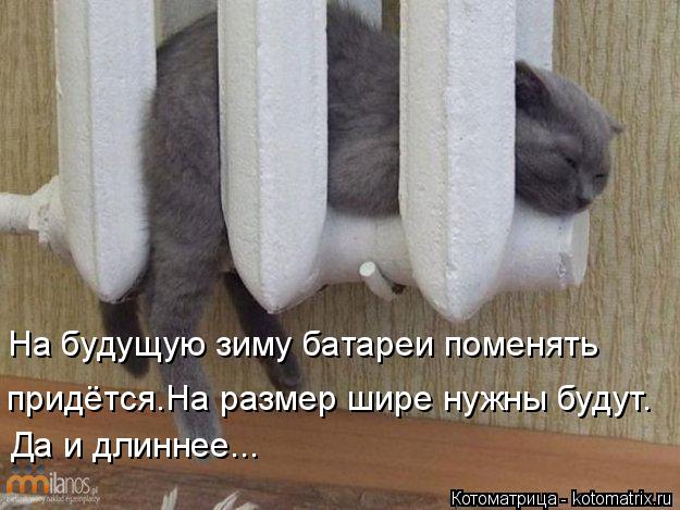 Котоматрица: На будущую зиму батареи поменять придётся.На размер шире нужны будут. Да и длиннее...