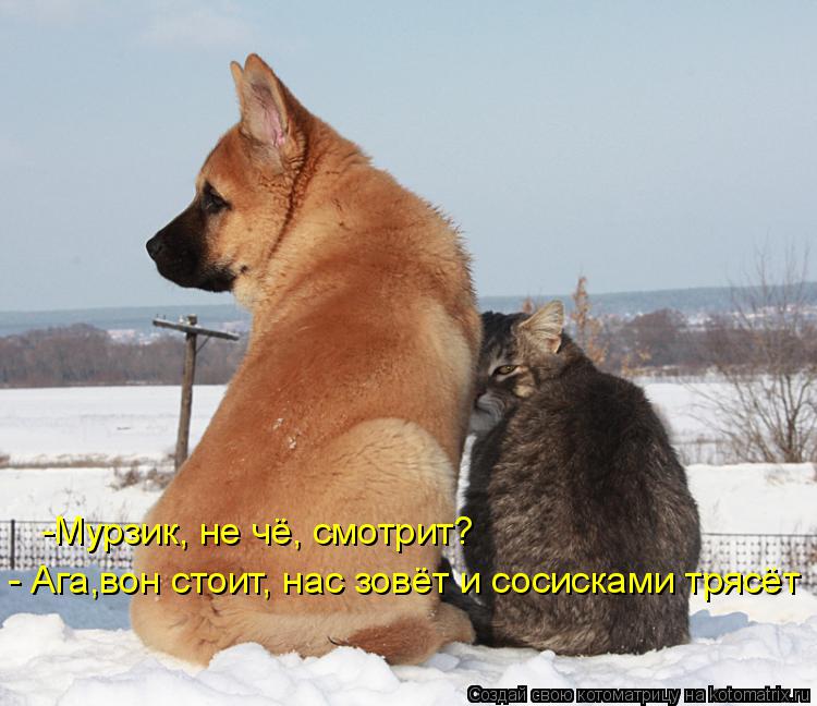 -Мурзик, не чё, смотрит? - Ага,вон стоит, нас зовёт и сосисками трясёт... Котоматрица: -Мурзик, не чё, смотрит? - Ага,вон стоит, нас зовёт и сосисками трясёт