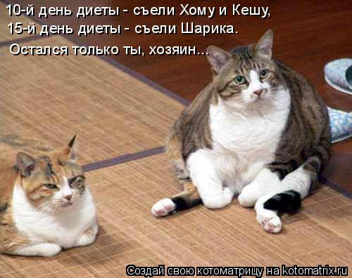 10-й день диеты - съели Хому и Кешу, 15-й день диеты - съели Шарика. Остался только ты, хозяин...... Котоматрица: 10-й день диеты - съели Хому и Кешу, 15-й день диеты - съели Шарика. Остался только ты, хозяин...