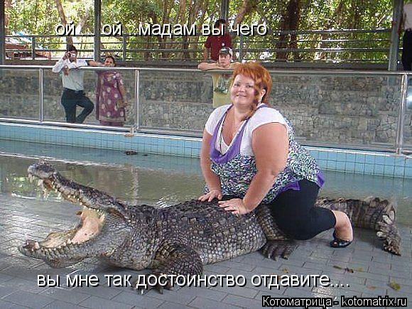 ой ... ой ..мадам вы чего .. вы мне так достоинство отдавите....... Котоматрица: ой ... ой ..мадам вы чего .. вы мне так достоинство отдавите....