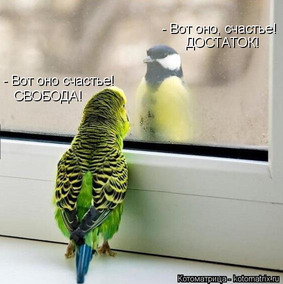 - Вот оно, счастье! ДОСТАТОК! - Вот оно счастье! СВОБОДА!... Котоматрица: - Вот оно, счастье! ДОСТАТОК! - Вот оно счастье! СВОБОДА!