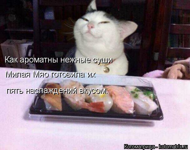 Как ароматны нежные суши Милая Мяо готовила их пять наслаждений вкусом.... Котоматрица: Как ароматны нежные суши Милая Мяо готовила их пять наслаждений вкусом.