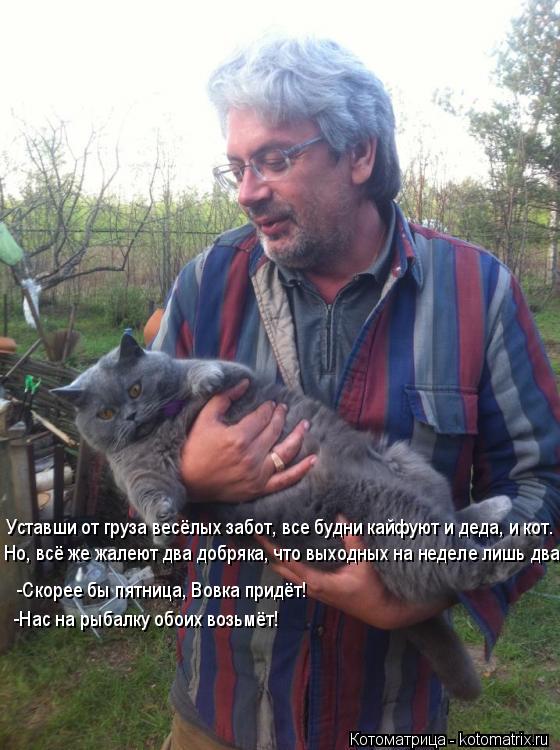 Уставши от груза весёлых забот, все будни кайфуют и деда, и кот. Но, всё же жалеют два добряка, что в... Котоматрица: Уставши от груза весёлых забот, все будни кайфуют и деда, и кот. Но, всё же жалеют два добряка, что выходных на неделе лишь два. -Скорее бы пятн