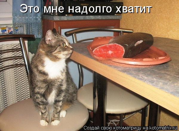 Это мне надолго хватит... Котоматрица: Это мне надолго хватит