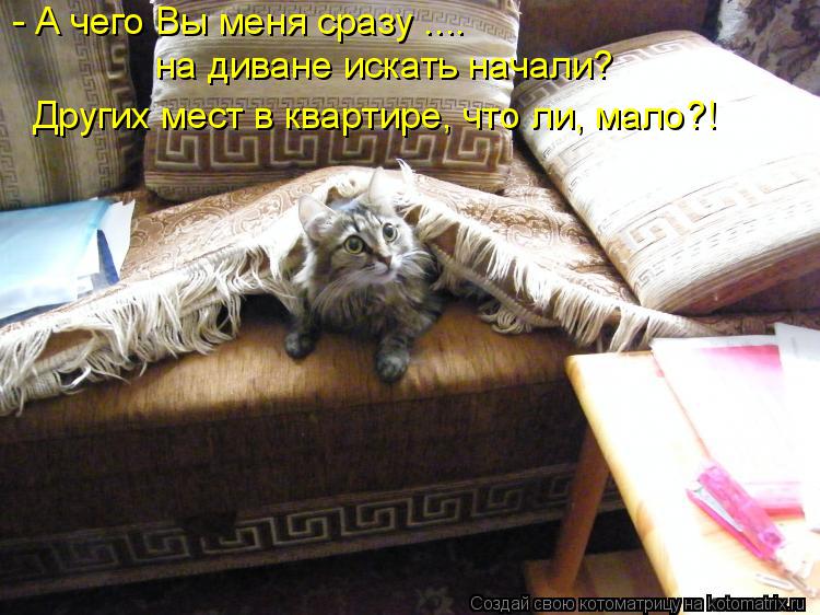 Котоматрица: - А чего Вы меня сразу .... на диване искать начали? Других мест в квартире, что ли, мало?!