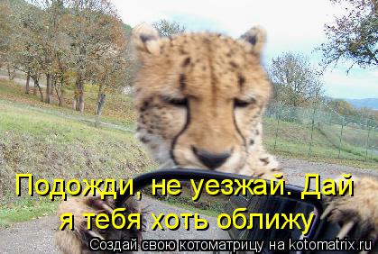 Подожди, не уезжай. Дай я тебя хоть оближу... Котоматрица: Подожди, не уезжай. Дай я тебя хоть оближу