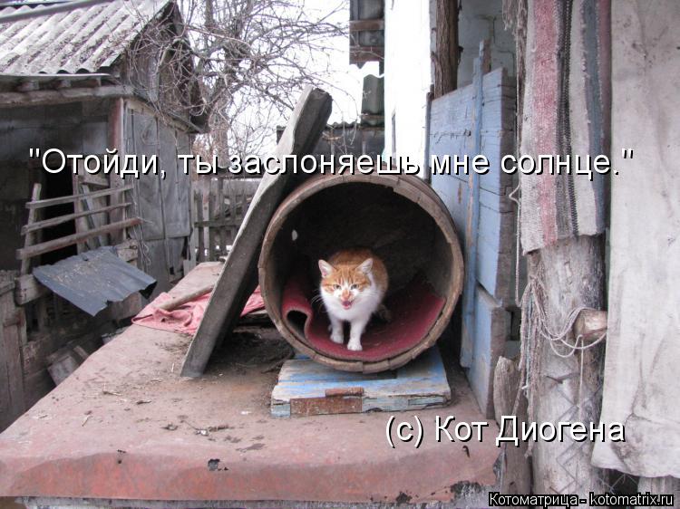 Котоматрица: "Отойди, ты заслоняешь мне солнце." (с) Кот Диогена
